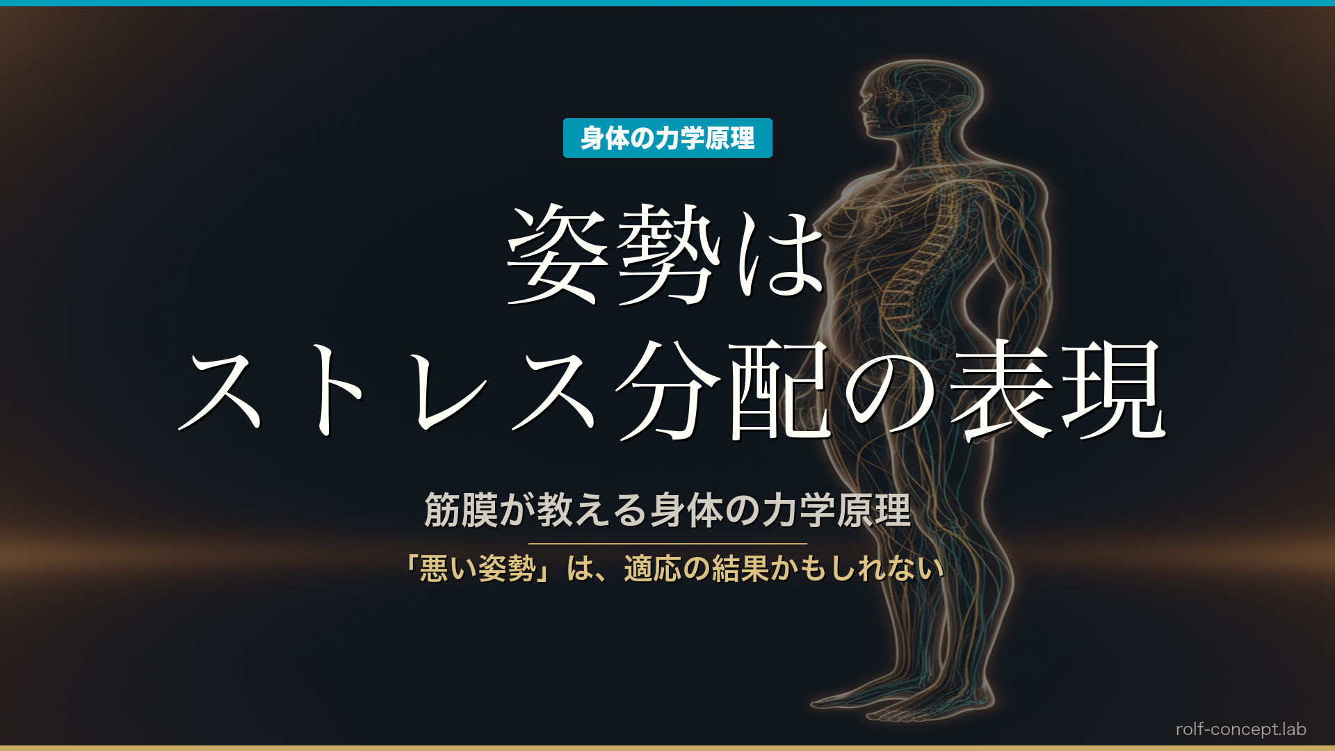 姿勢はストレス分配の表現——筋膜が教える身体の力学原理