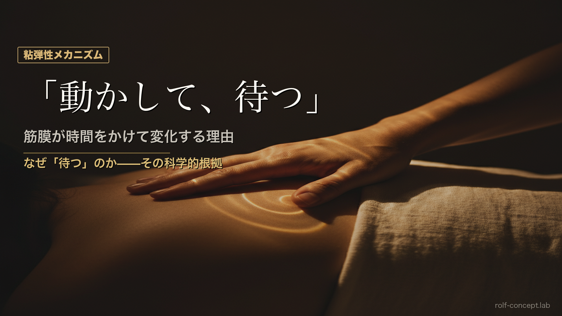筋膜リリースの「動かして、待つ」——筋膜が時間をかけて変化する粘弾性メカニズム