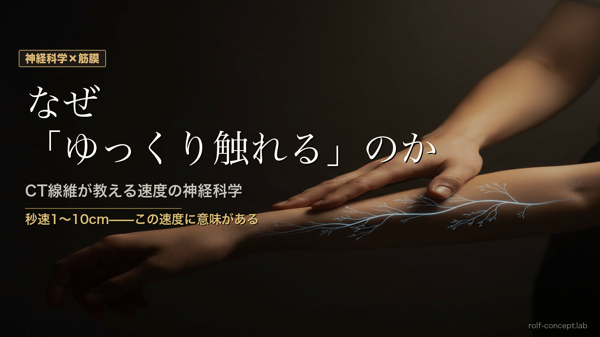 筋膜リリースで「ゆっくり触れる」ことの神経科学——CT線維とは何か