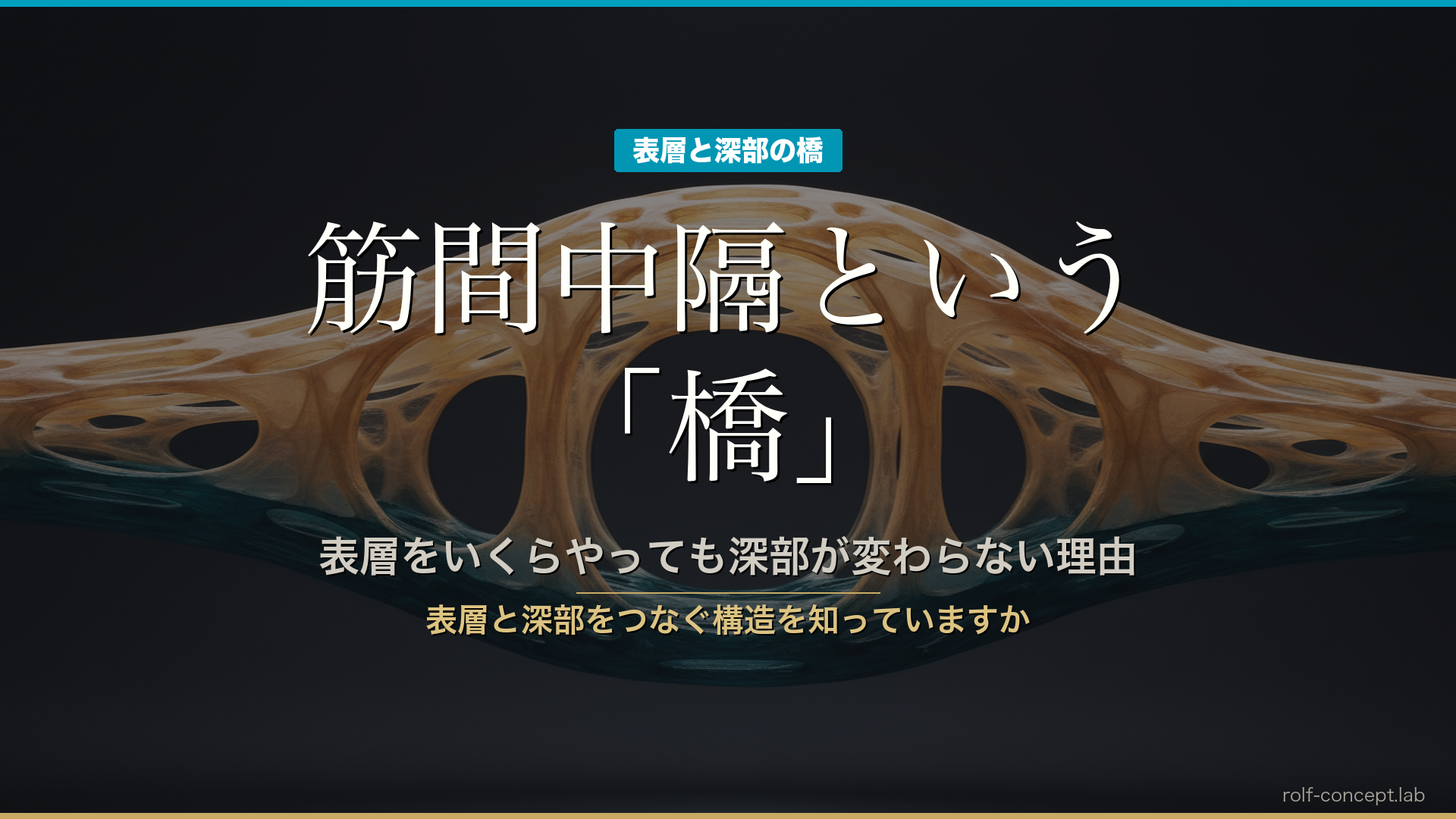 筋間中隔とは？表層と深部をつなぐ「橋」が臨床を変える