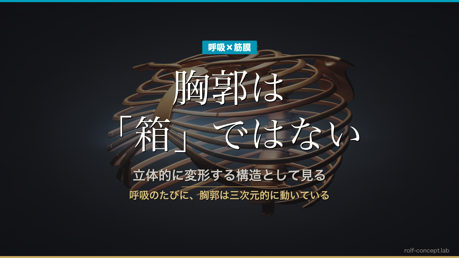 胸郭と呼吸の筋膜的評価｜「箱」ではなく「立体的に変形する構造」として見る