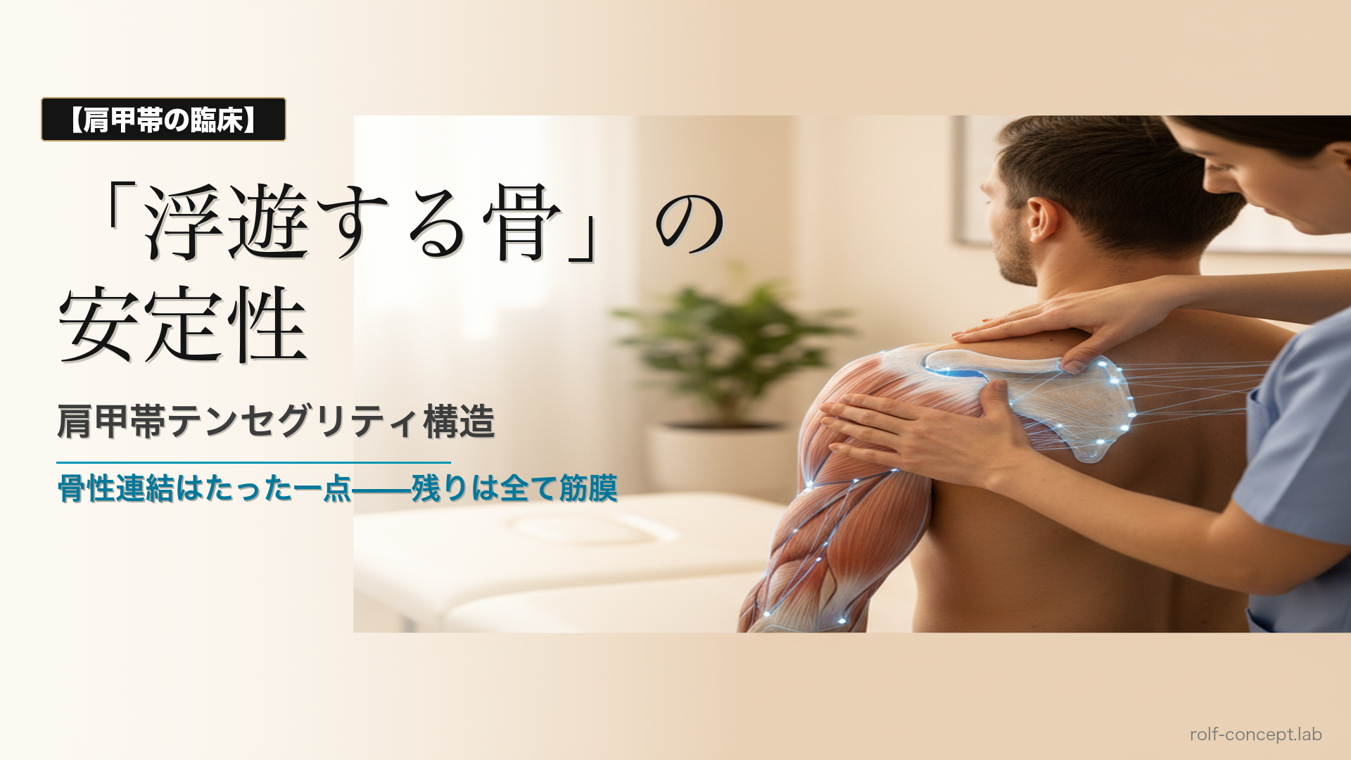 肩甲帯テンセグリティ構造——筋膜が支える「浮遊する骨」の安定性と臨床的意味
