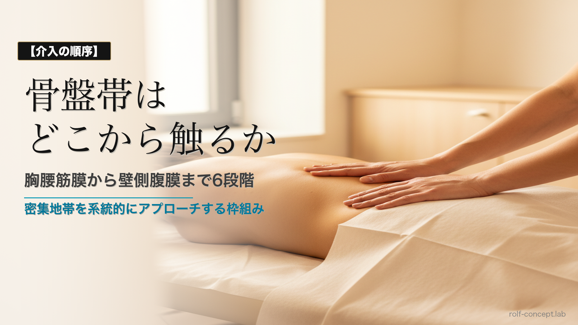 骨盤帯・股関節は「広い連結」から——体幹と下肢をつなぐ3つの筋膜経路