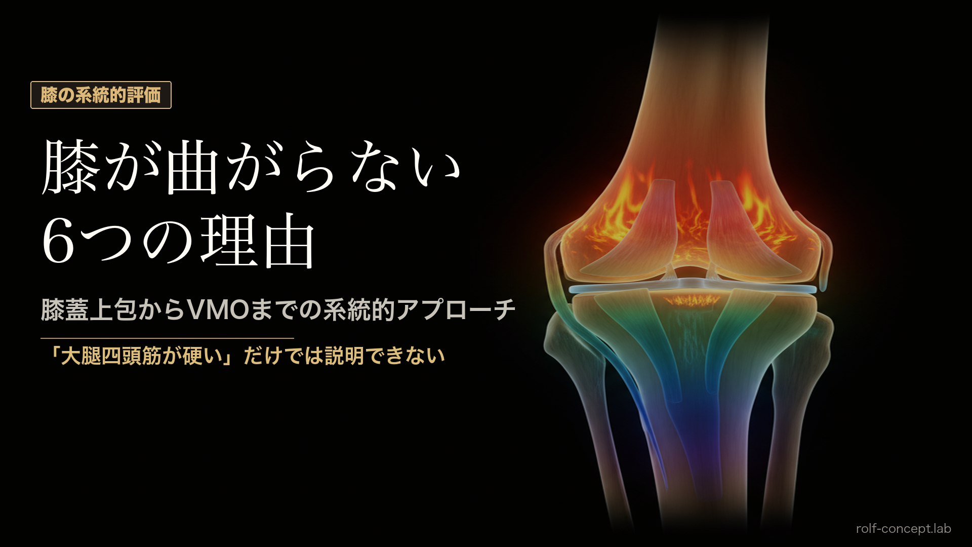 膝屈曲制限を読み解く6つの経路——「大腿四頭筋が硬い」の先にある評価の地図