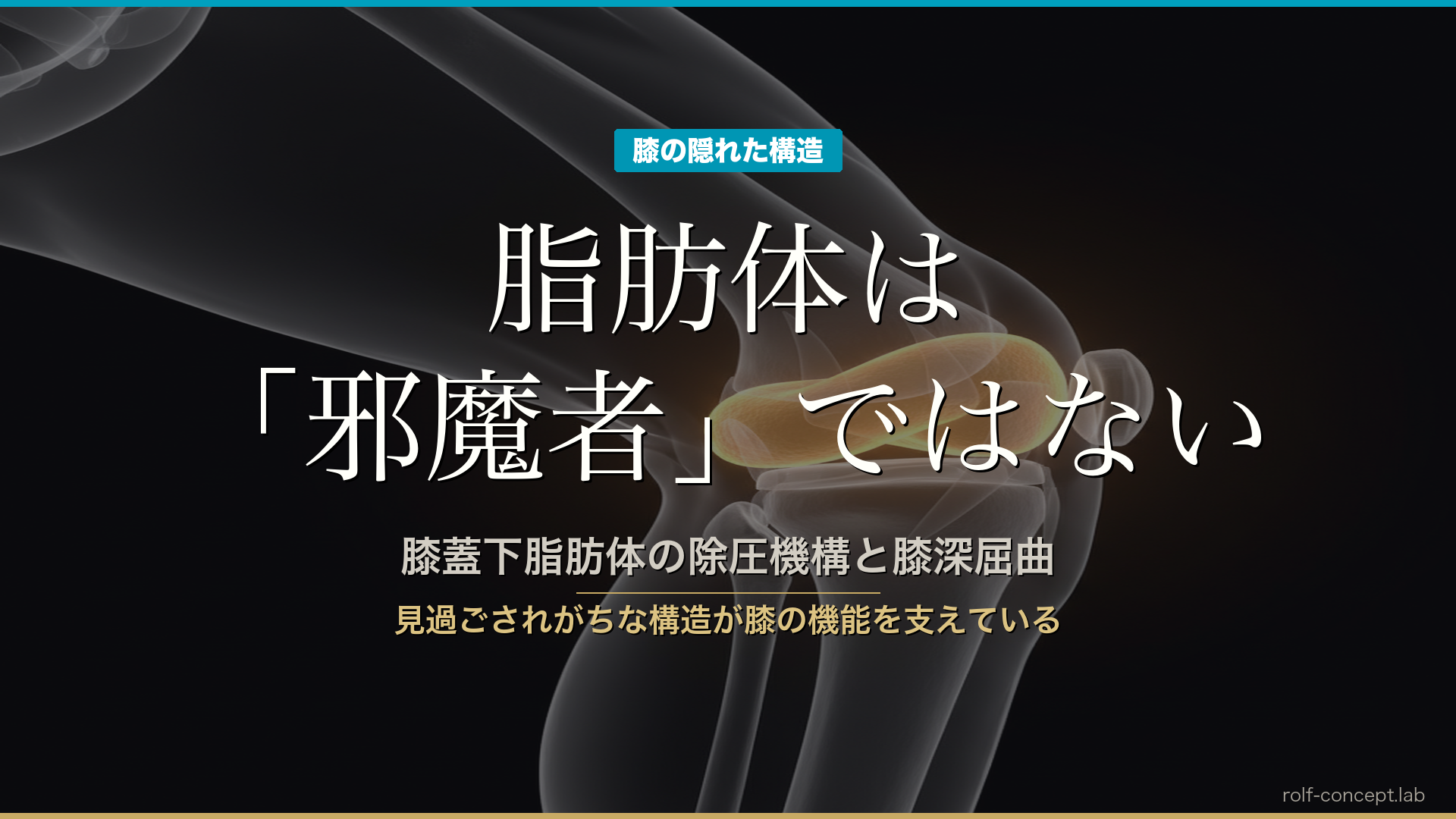 膝蓋下脂肪体（IFP）の除圧機構と膝深屈曲——脂肪体は「邪魔者」ではない