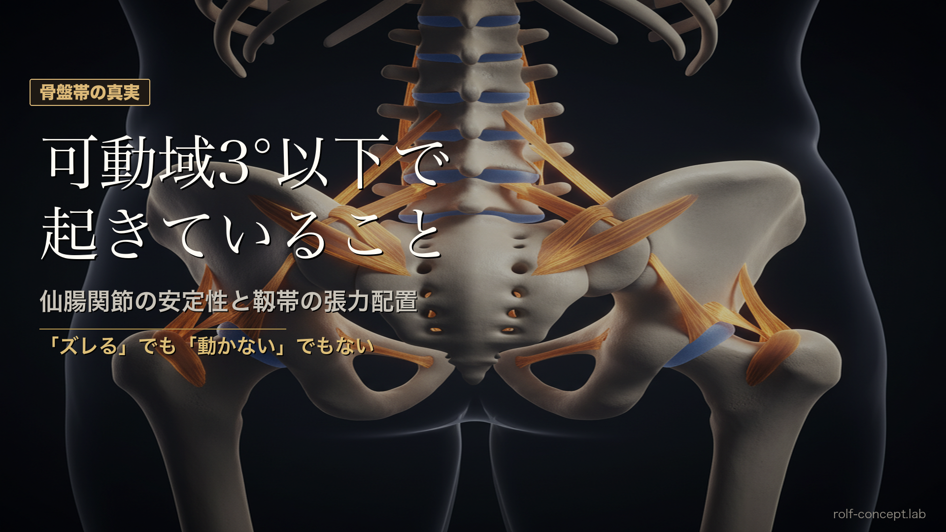 仙腸関節の安定性と靱帯の張力配置——可動域3°以下で起きていること